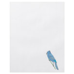 Benji Blue Jay Flyers