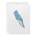 Benji Blue Jay Invites