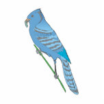 Benji Blue Jay Acrylic Cut Outs
