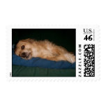 benji postage stamps