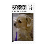 Benji Postage Stamps