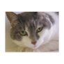 Benny Postcards