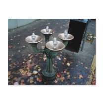 Benson Bubbler Portland Oregon Postcards
