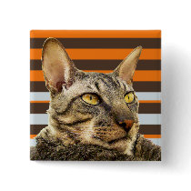 Benson Retro Stripe button
