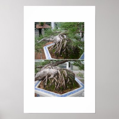 bent bonsai print by pyxie3