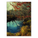 Bent Trees cards