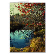 Bent Trees cards