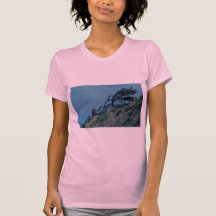 Bent Trees In Storm Shirt