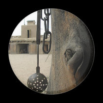 Bents Old Fort Adobe Magnet