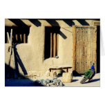 Bents Old Fort Peacock Greeting Card
