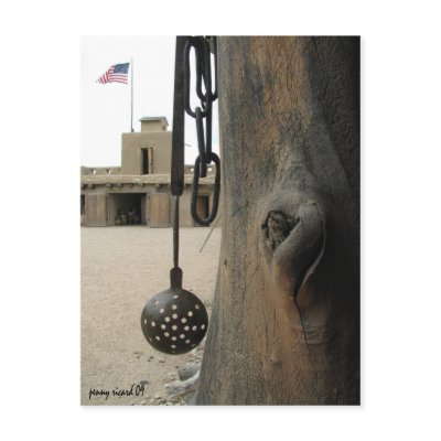 Bents Old Fort Postcard by pennysart