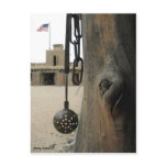 Bents Old Fort Postcard