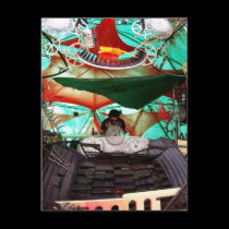 Benza | Sunset Stage @ Rainbow Serpent '09 postcards