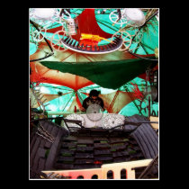 Benza | Sunset Stage @ Rainbow Serpent '09 postcards