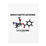 Benzoylmethylecgonine (A.K.A. Cocaine) Post Cards