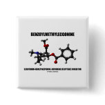 Benzoylmethylecgonine Serotonin-Norepinephrine