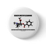Benzoylmethylecgonine Serotonin-Norepinephrine