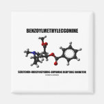 Benzoylmethylecgonine Serotonin-Norepinephrine Fridge Magnets