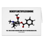 Benzoylmethylecgonine What Cocaine Looks Like cards
