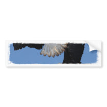 BEOAT Bald Eagles on a Treetop Bumper Sticker