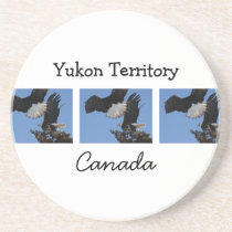 BEOAT Bald Eagles on a Treetop Coasters