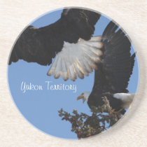 BEOAT Bald Eagles on a Treetop Drink Coasters