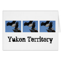 BEOAT Bald Eagles on a Treetop Greeting Cards