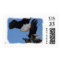 BEOAT Bald Eagles on a Treetop Postage