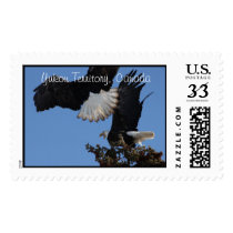 BEOAT Bald Eagles on a Treetop Stamp