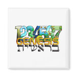 Bereshit Magnet