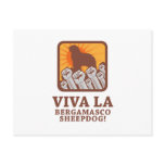 Bergamasco Sheepdog