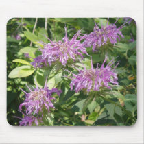 Bergamont Bee Balm Mousepad by naturegirl7 Bergamont Bee Balm Mousepad