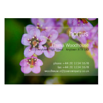 Bergenia DSC1171 business cards