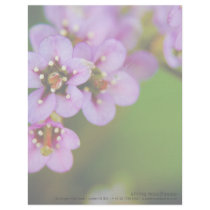 Bergenia • Personalized Letterhead by SabineSt Bergenia • Personalized Letterhead