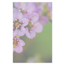 Bergenia • Stationery by SabineSt Bergenia • Stationery