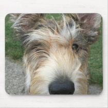 Berger de Picard mousepads