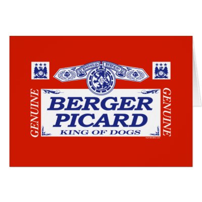 Berger Picard by dogbreedz