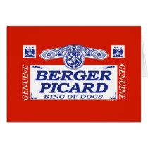 Berger Picard