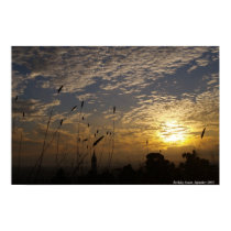 Berkeley Sunset posters by trisweb Berkeley Sunset posters