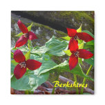 Berkshires Massachusetts Red Trillium Wildflowers