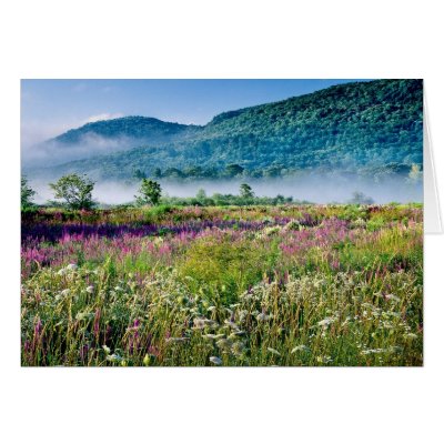 Berkshires Summer Card by kellypix