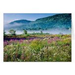 Berkshires Summer Card