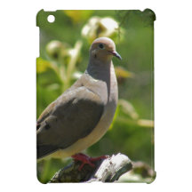 Bermuda - Bird
