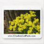 Bermuda Buttercup Sunset SB California Products Mouse Pad