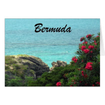 Bermuda Cards