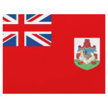 Bermuda Flag Flyer Design