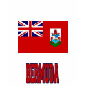 Bermuda Flag T-Shirt shirt