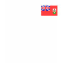 Bermuda Flag t-shirts