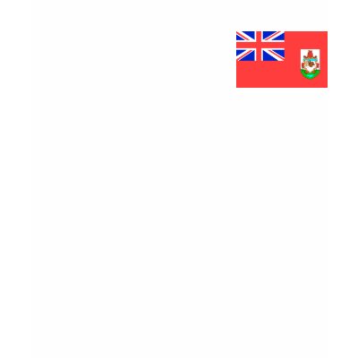 Bermuda Flag Shirt by CulturalPerspective3