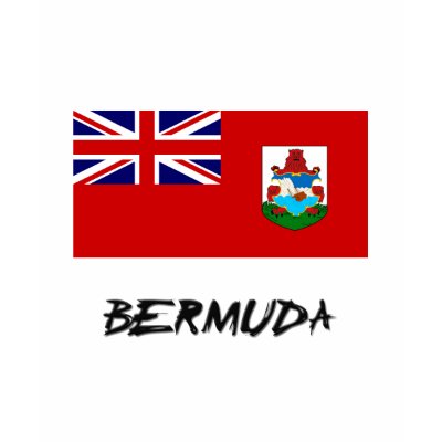 Flag of Nations : Bermuda Flag T Shirt